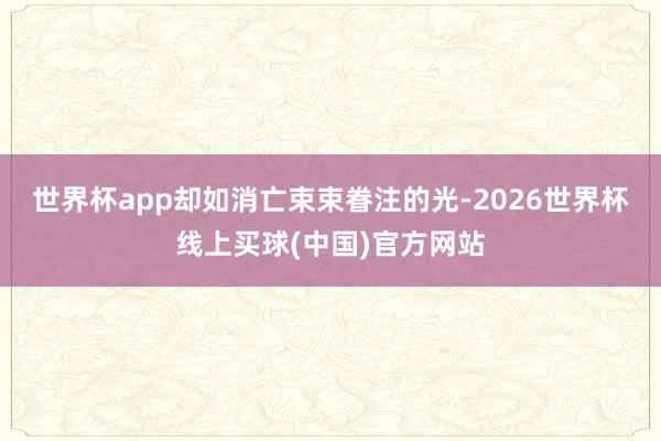 世界杯app却如消亡束束眷注的光-2026世界杯线上买球(中国)官方网站