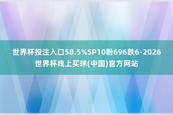 世界杯投注入口58.5%SP10粉696跌6-2026世界杯线上买球(中国)官方网站