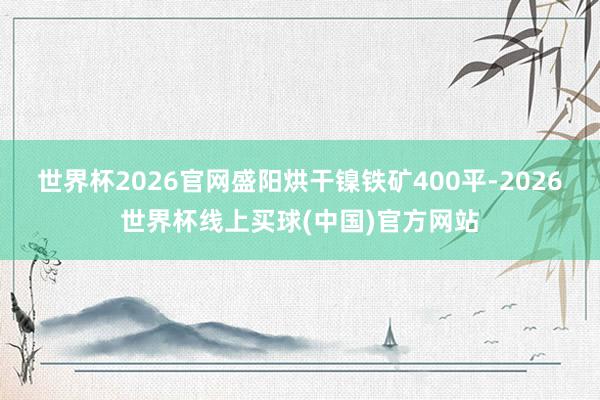 世界杯2026官网盛阳烘干镍铁矿400平-2026世界杯线上买球(中国)官方网站
