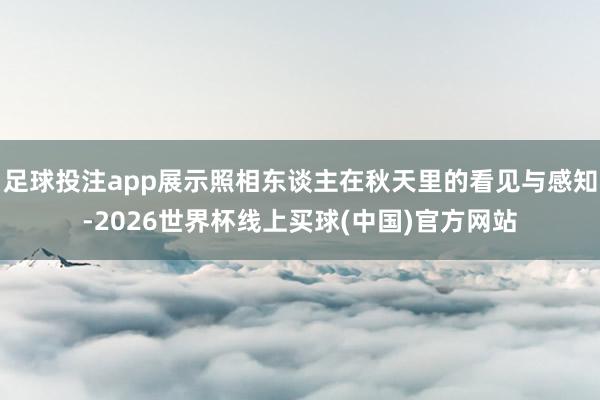 足球投注app展示照相东谈主在秋天里的看见与感知-2026世界杯线上买球(中国)官方网站