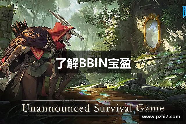了解BBIN宝盈